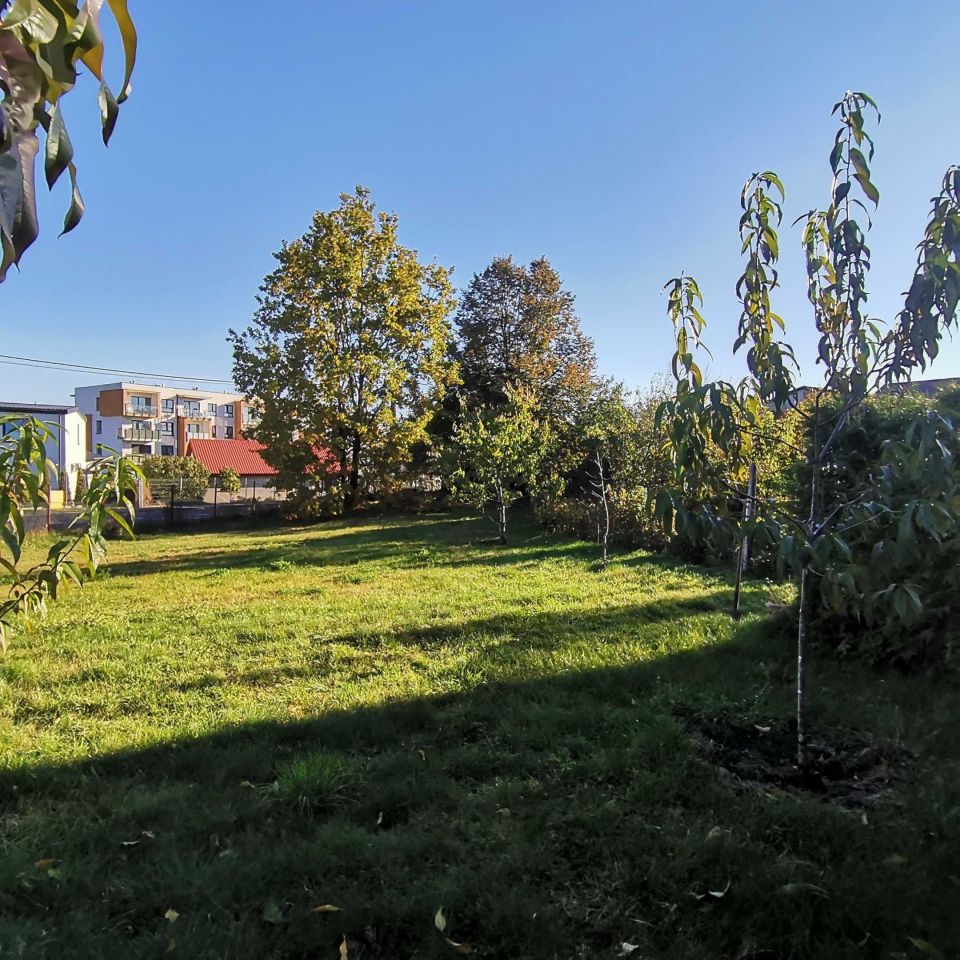 Działka budowlana Mława