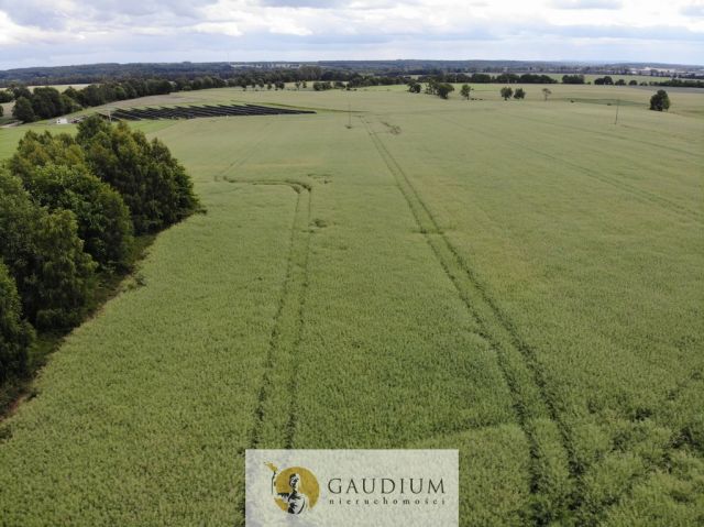 Działka Borkowo Lęborskie. Zdjęcie 8