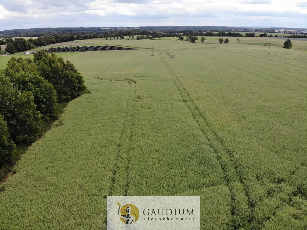 Działka Borkowo Lęborskie. Zdjęcie 8