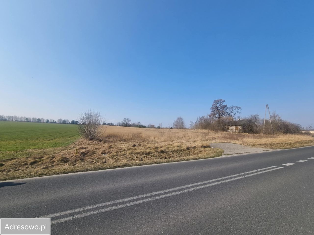 Działka inwestycyjna Promna-Kolonia. Zdjęcie 2