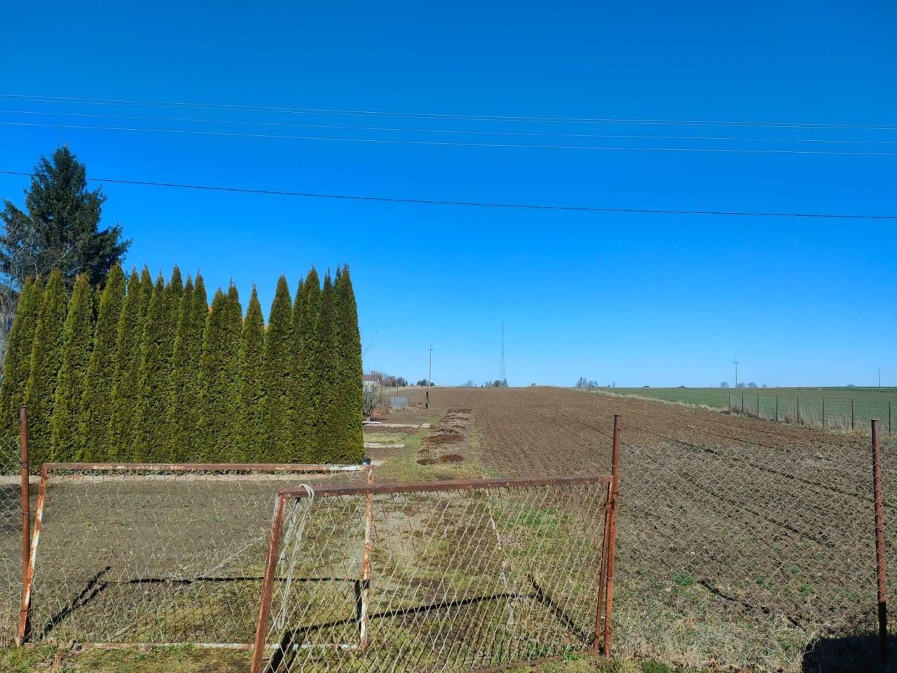 Działka siedliskowa Stabrów. Zdjęcie 2