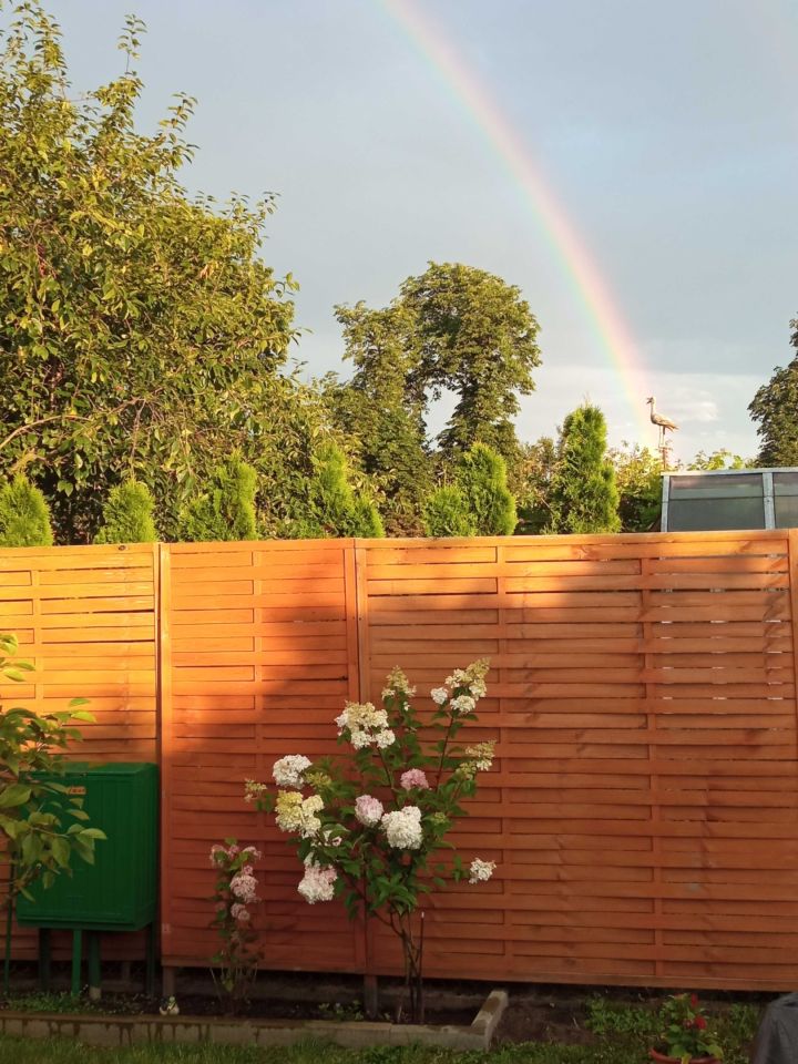 Działka rod Szubin. Zdjęcie 5