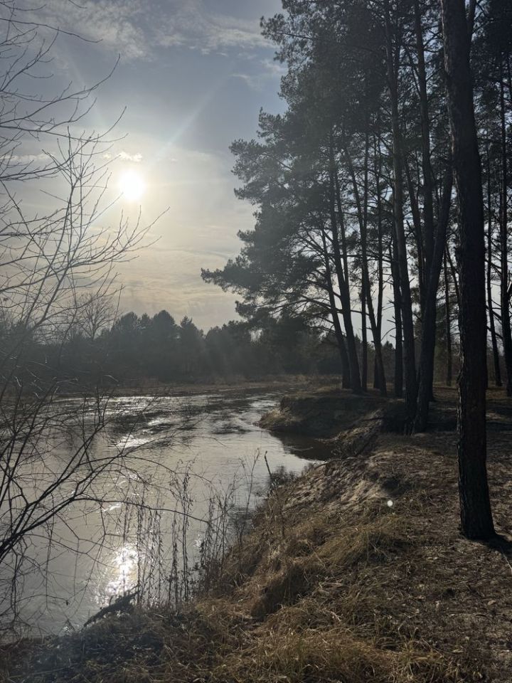 Działka leśna Nadkole. Zdjęcie 2