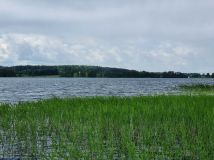 Działka rekreacyjna Szczecinowo. Zdjęcie 1