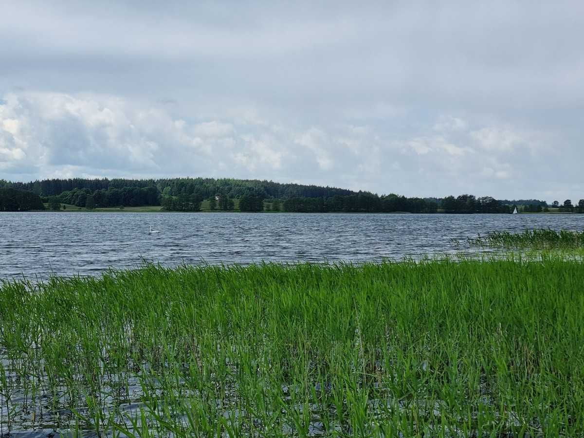 Działka rekreacyjna Szczecinowo. Zdjęcie 2