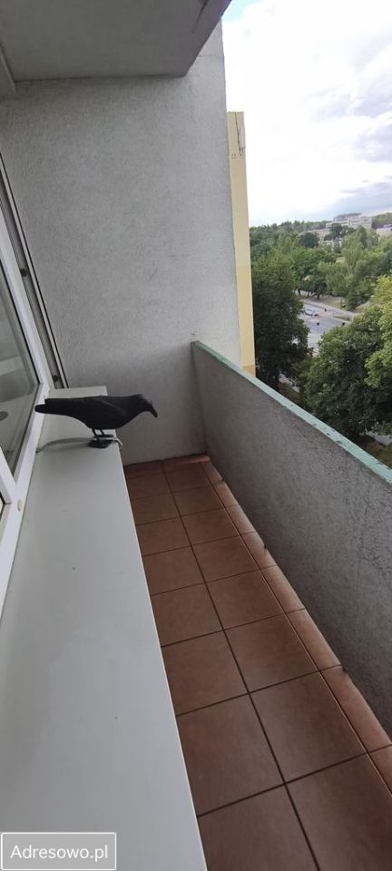 Mieszkanie 3-pokojowe Łódź Bałuty, ul. Wojska Polskiego. Zdjęcie 10