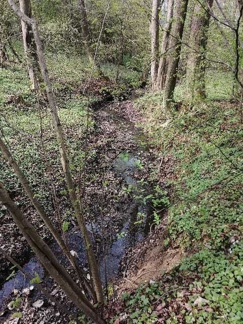Działka Zamarski. Zdjęcie 5