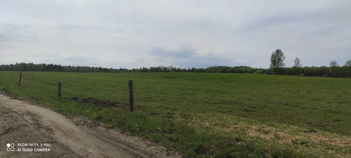 Działka rolno-budowlana Ciekocinko. Zdjęcie 6