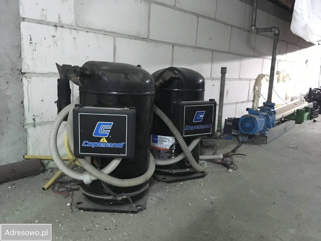 Hala/magazyn Rokitno Szlacheckie. Zdjęcie 2