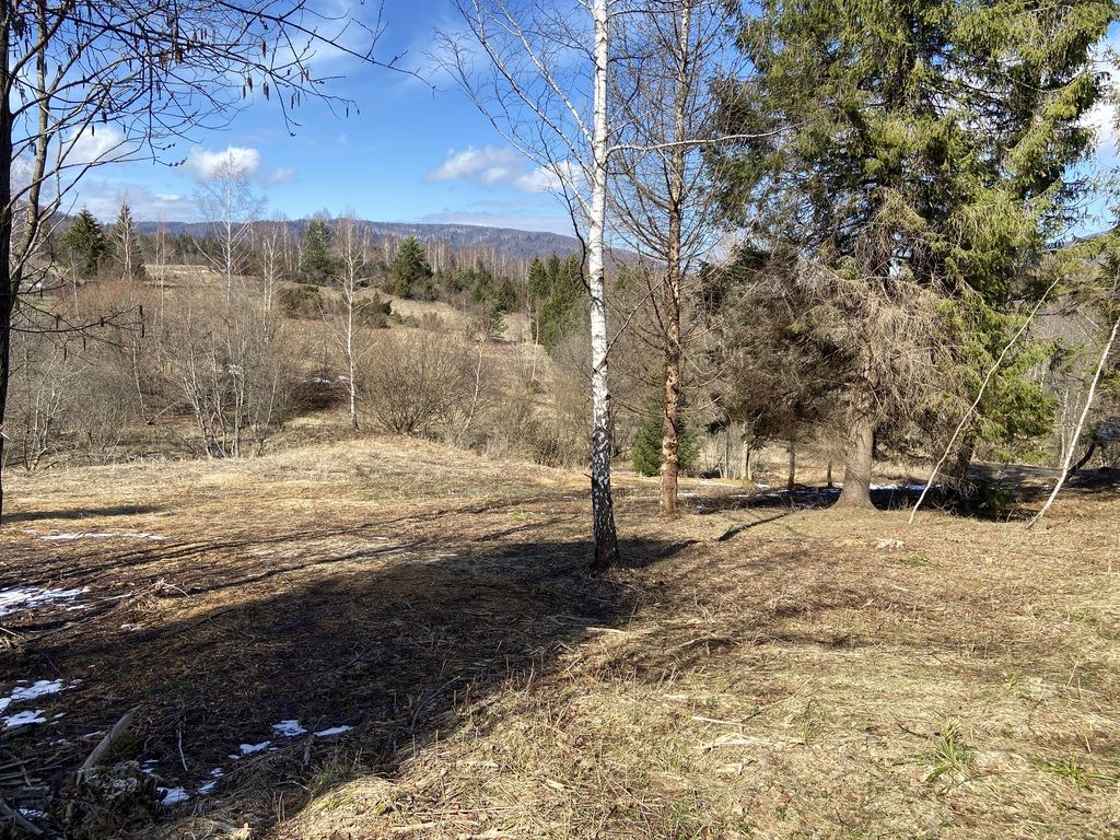 Działka budowlana Strzebowiska. Zdjęcie 8