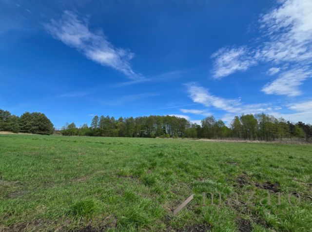 Działka rolna Drogosław. Zdjęcie 15