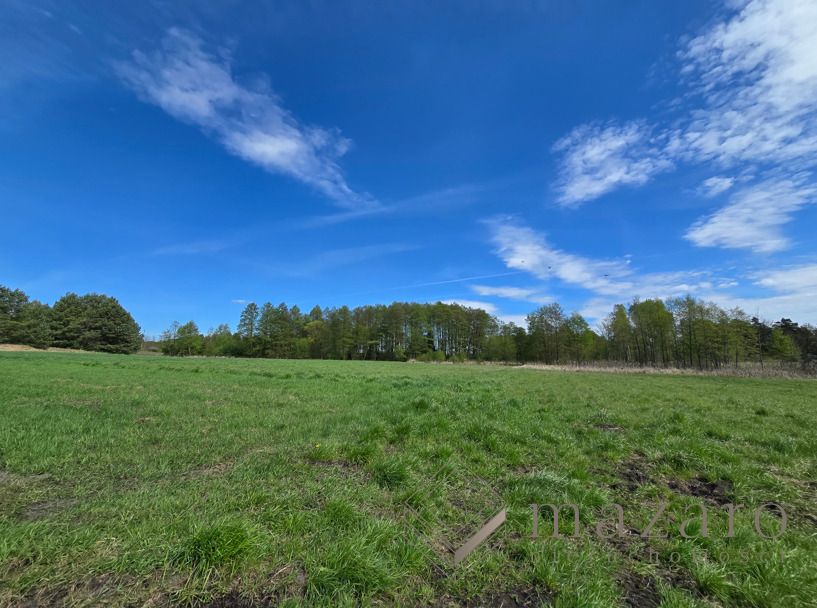 Działka rolna Drogosław. Zdjęcie 15