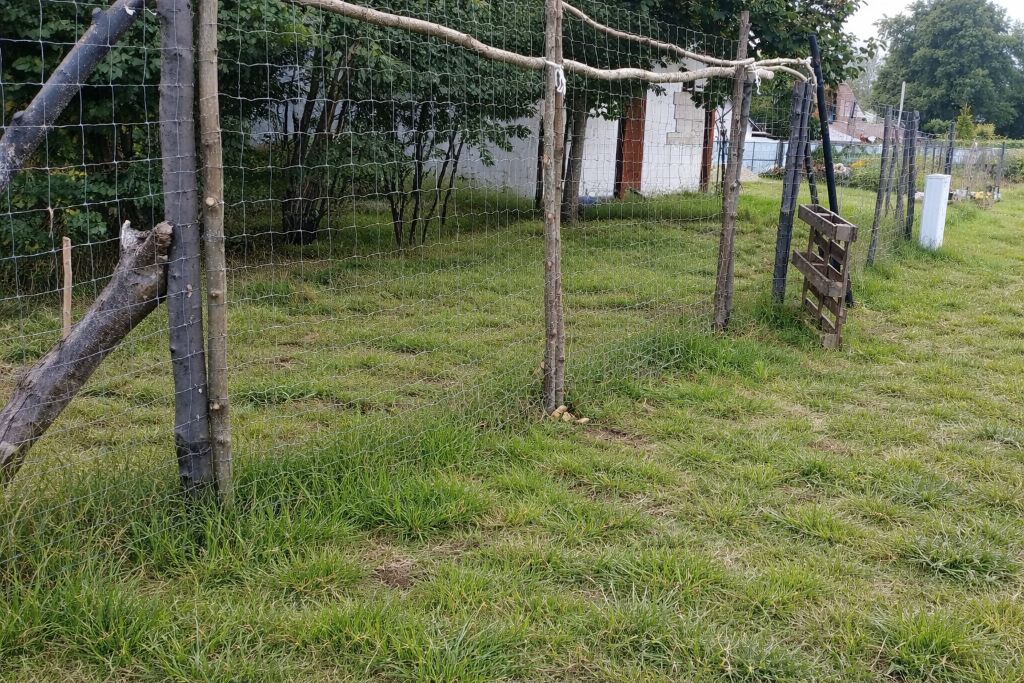 Działka budowlana Opalino, Lipowa. Zdjęcie 7