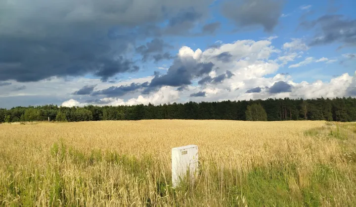 Działka budowlana Zaborowo