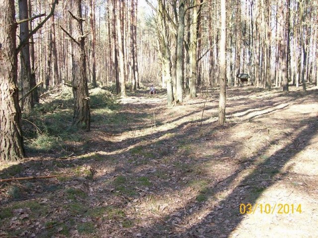 Działka leśna Wólka Radzymińska, ul. Baśniowych Dębów. Zdjęcie 1