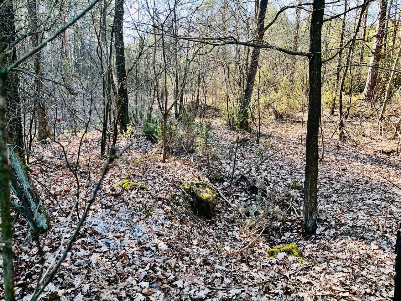 Działka rekreacyjna Wólka-Wojciechówek, ul. Akacjowa. Zdjęcie 6