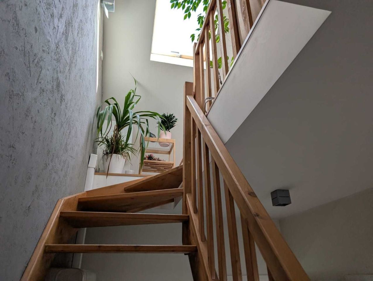 dom szeregowy Banino. Zdjęcie 7