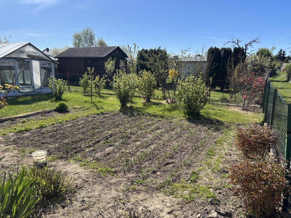 Działka rod Ostrowiec Świętokrzyski, ul. Marii Dąbrowskiej. Zdjęcie 4