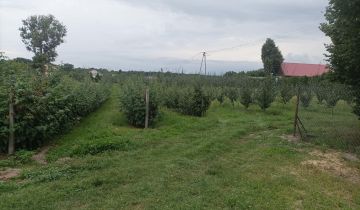 Działka budowlana Owczarnia Cegłówka