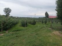 Działka budowlana Owczarnia Cegłówka. Zdjęcie 1