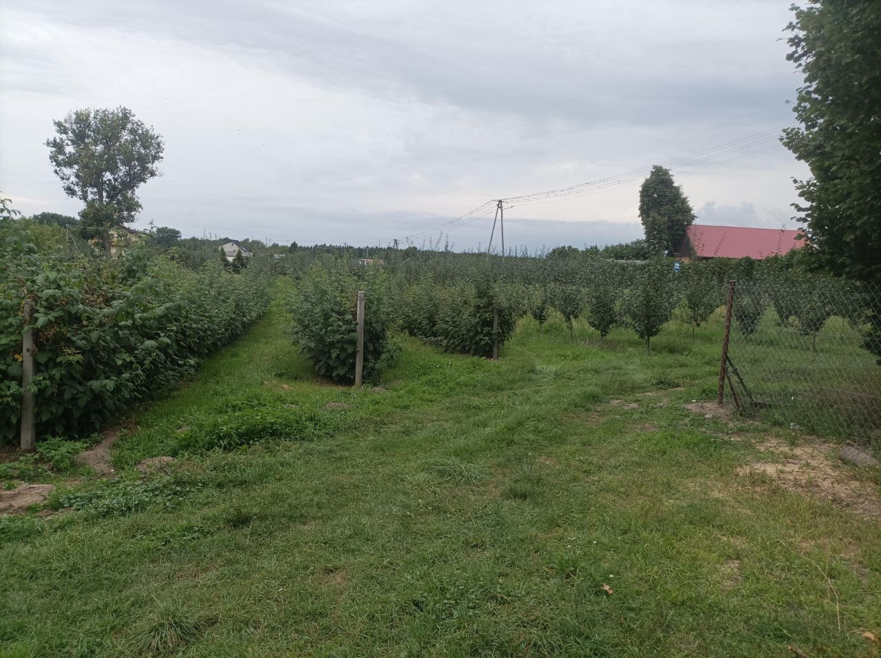 Działka budowlana Owczarnia Cegłówka. Zdjęcie 2