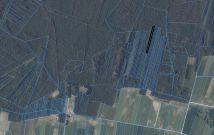 Działka leśna Januszewice. Zdjęcie 4