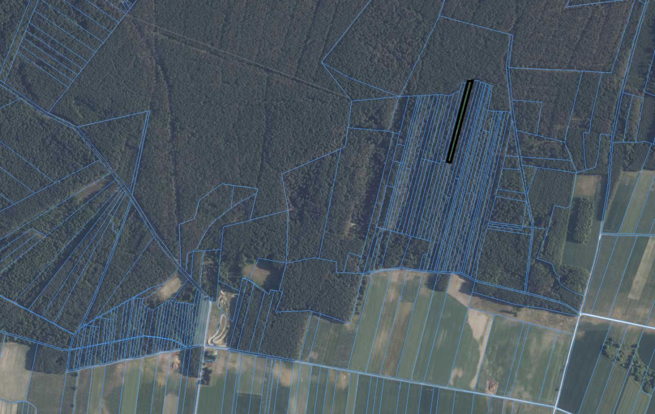 Działka leśna Januszewice. Zdjęcie 5