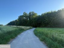 Działka siedliskowa Grzegorzowice. Zdjęcie 4