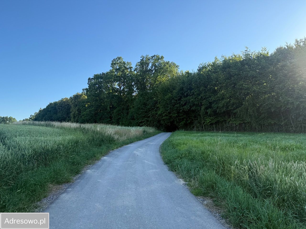 Działka siedliskowa Grzegorzowice. Zdjęcie 5
