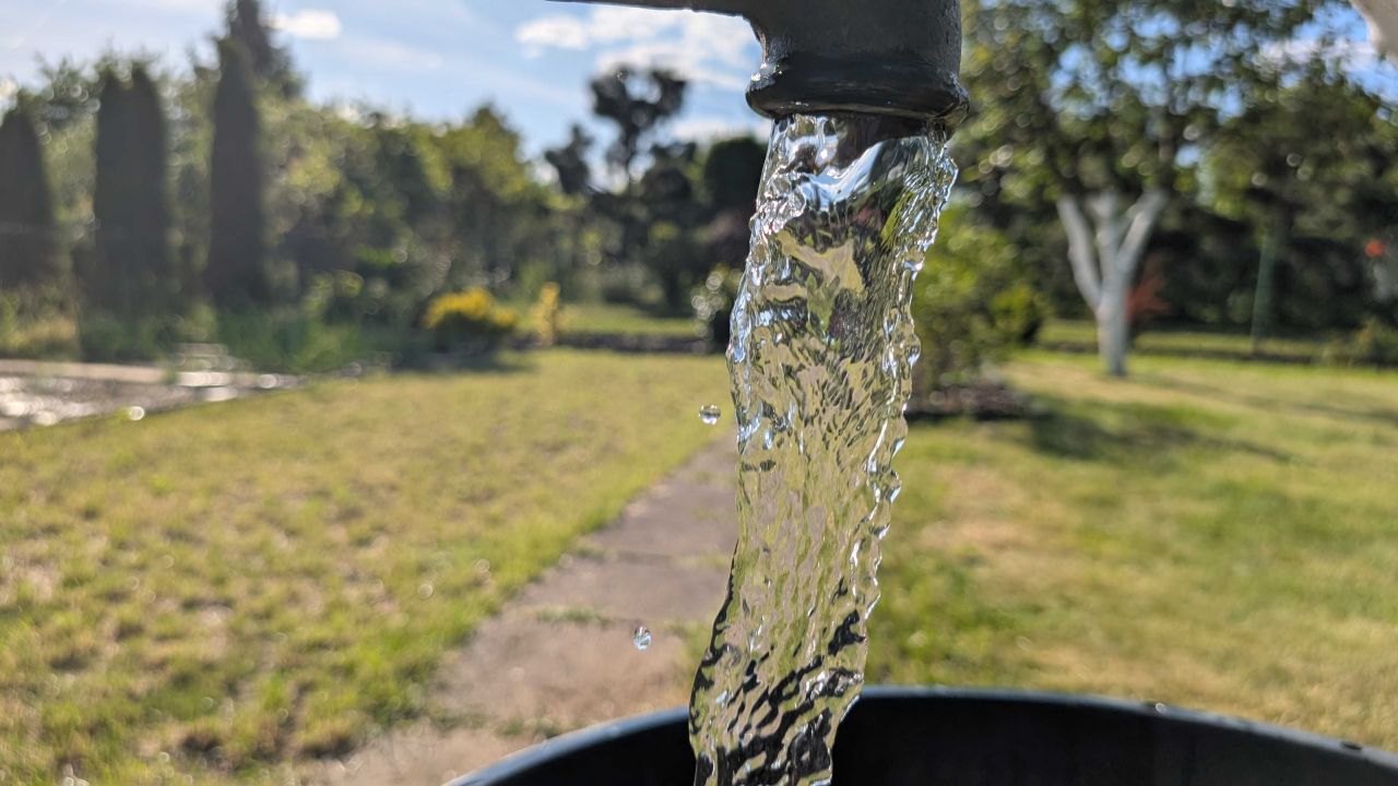 Działka rod Wrocław Psie Pole, ul. Bezpieczna. Zdjęcie 7