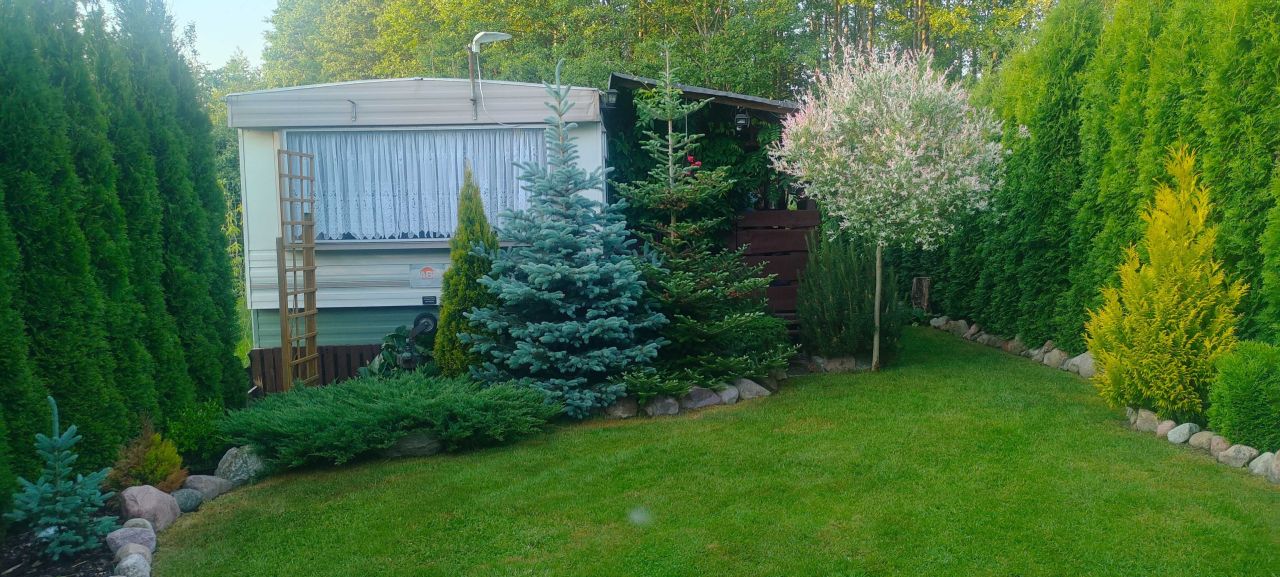 Działka rekreacyjna Dobrzyki. Zdjęcie 8