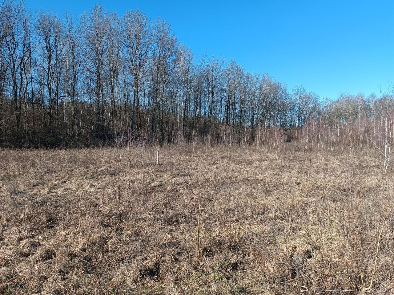 Działka budowlana Nikielkowo, ul. Parkowa. Zdjęcie 8