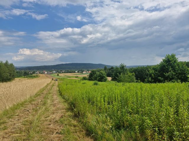Działka rolna Wróblowa. Zdjęcie 1