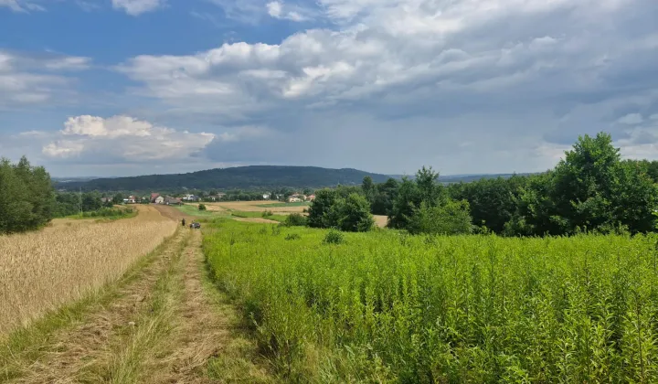 Działka rolna Wróblowa