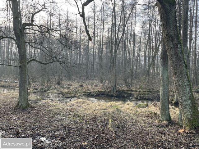 Działka budowlana Przykory. Zdjęcie 10