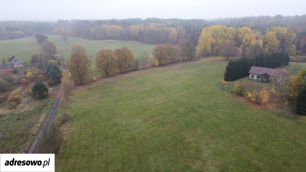 Działka budowlana Mosina. Zdjęcie 7