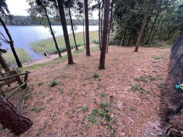 Działka Gawrych-Ruda. Zdjęcie 1