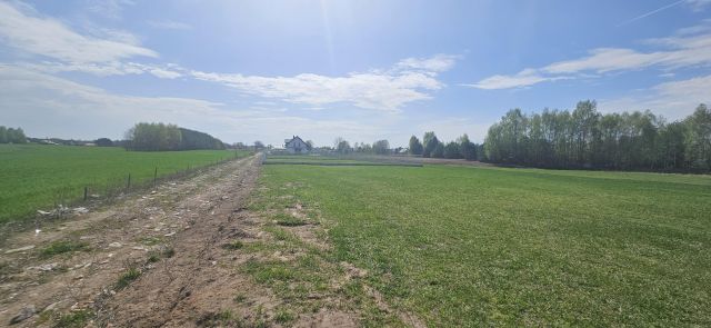 Działka budowlana Kołaków. Zdjęcie 1