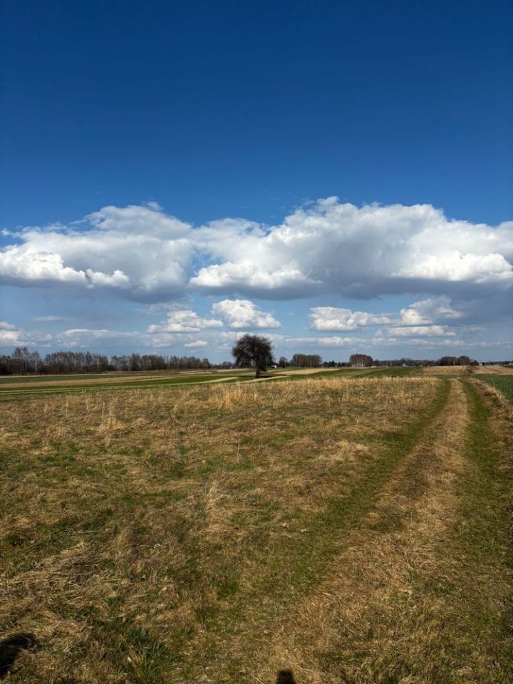 Działka budowlana Żołynia Bikówka. Zdjęcie 6