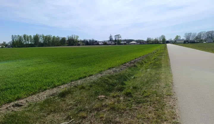 Działka budowlana Pietrzykowo-Gołąbki
