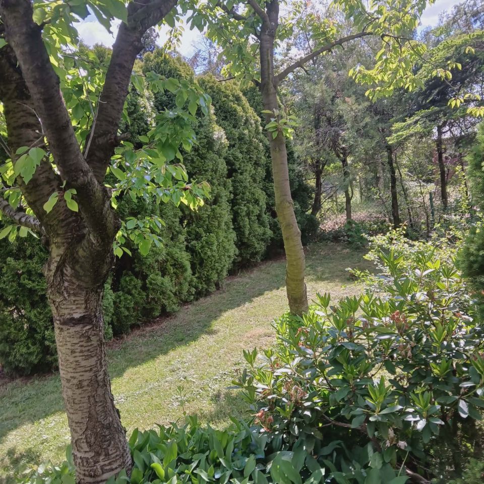 Działka rod Skierniewice, ul. Działkowa. Zdjęcie 4