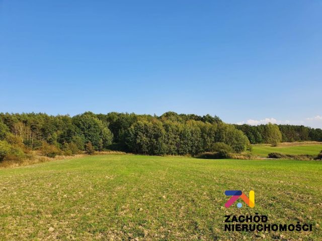 Działka budowlana Drągowina. Zdjęcie 1