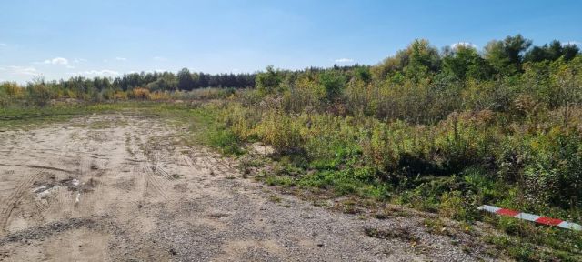 Działka budowlana Żółwin. Zdjęcie 6