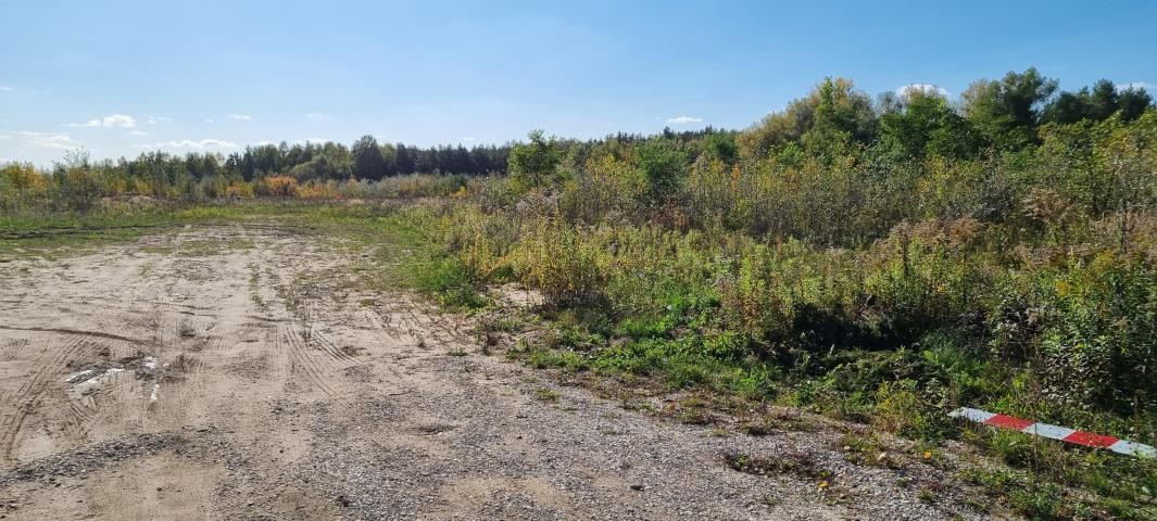 Działka budowlana Żółwin. Zdjęcie 6