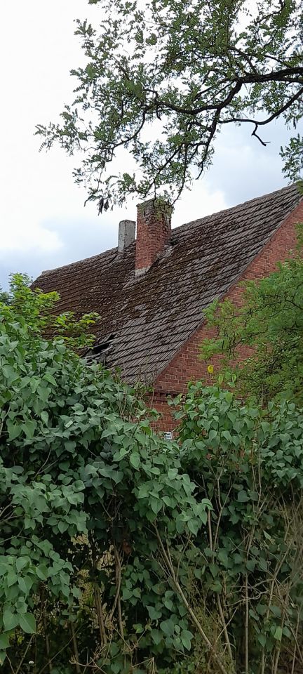 Działka budowlana Brzezie, ul. Wojska Polskiego. Zdjęcie 8