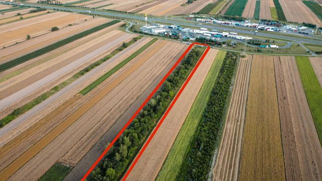 Działka budowlana Olempin. Zdjęcie 1