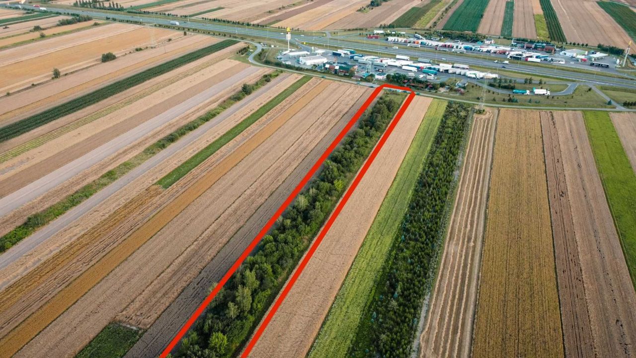 Działka budowlana Olempin. Zdjęcie 1