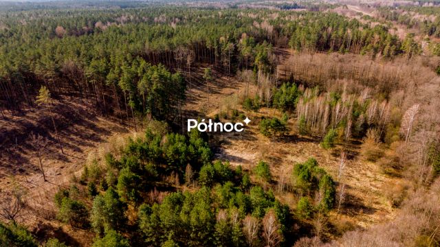 Działka budowlana Klepacze, ul. Świerkowa. Zdjęcie 7