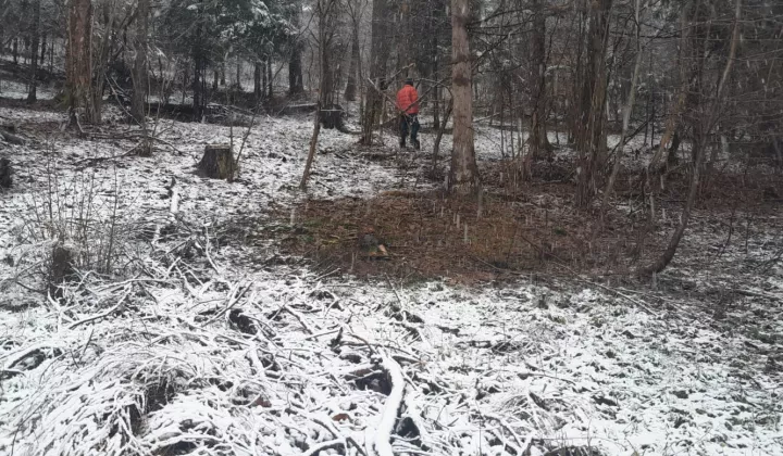 Działka rekreacyjna Rychwałd, ul. Spacerowa