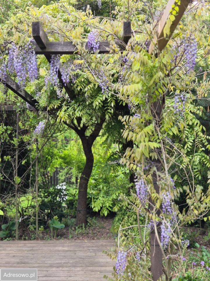 dom wolnostojący, 3 pokoje Poćwiardówka. Zdjęcie 6